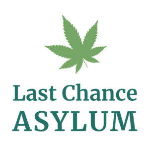 Last Chance Asylum Logo