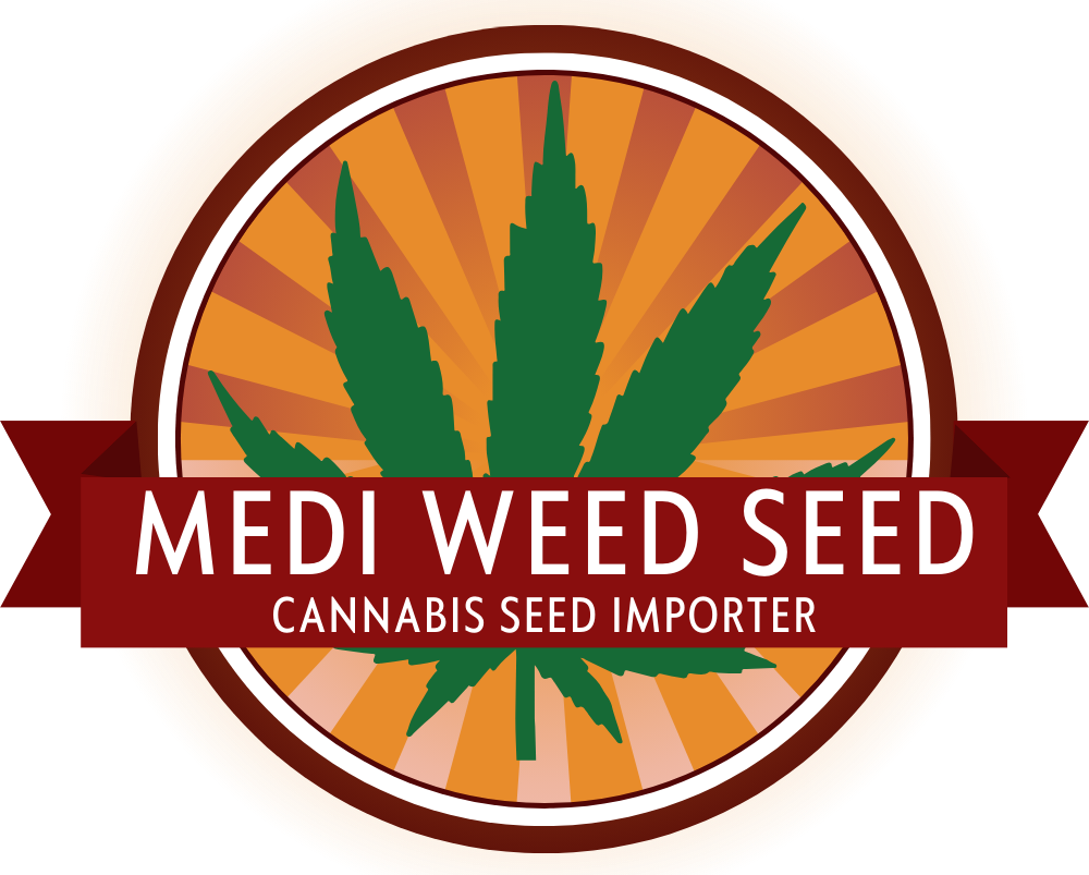 Medi Weed Seed Logo