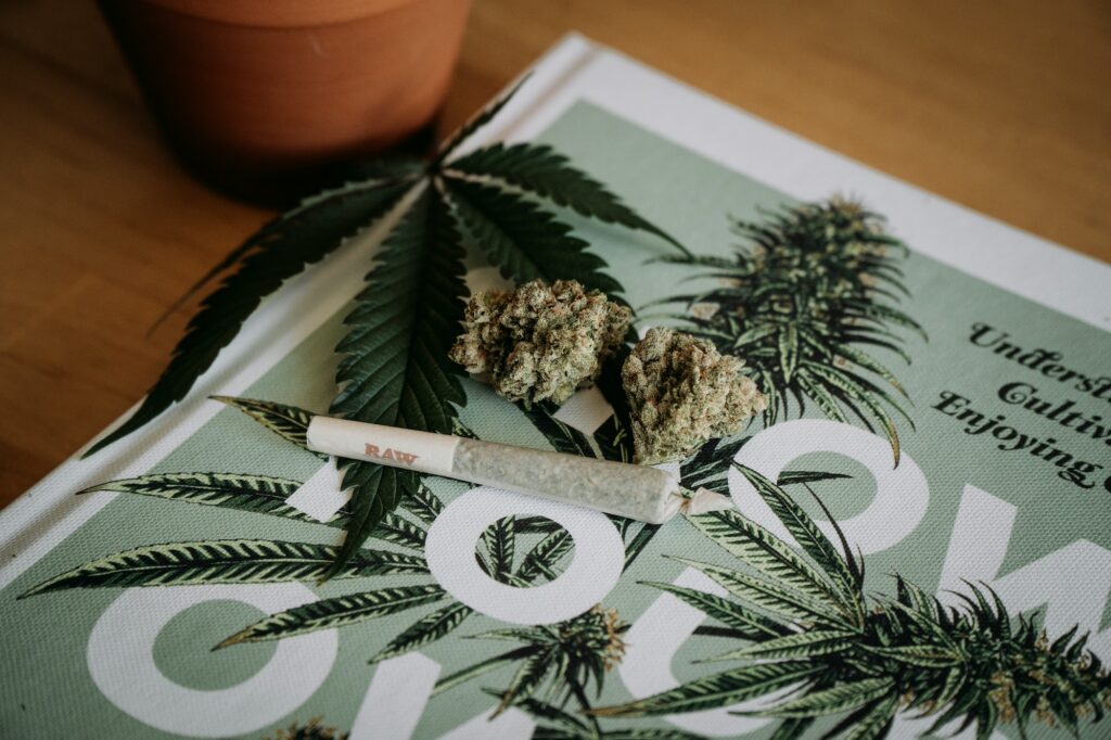 Cannabis